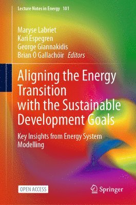 bokomslag Aligning the Energy Transition with the Sustainable Development Goals