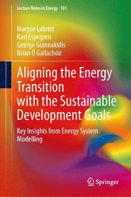 Aligning the Energy Transition with the Sustainable Development Goals 1