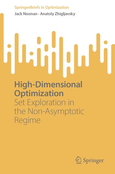Jack Noonan, Anatoly Zhigljavsky - High-Dimensional Optimization, Häftad