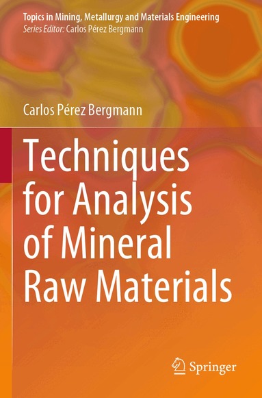 Carlos Pérez Bergmann - Techniques for Analysis of Mineral Raw Materials, Häftad