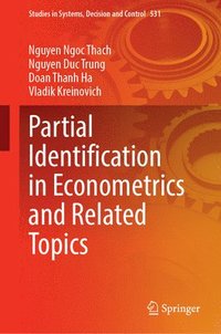 bokomslag Partial Identification in Econometrics and Related Topics