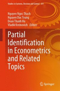 bokomslag Partial Identification in Econometrics and Related Topics