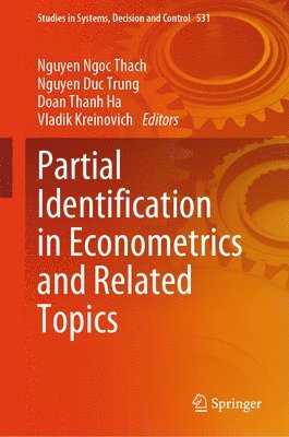 bokomslag Partial Identification in Econometrics and Related Topics