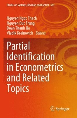 bokomslag Partial Identification in Econometrics and Related Topics