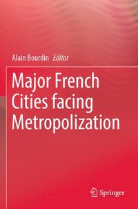 bokomslag Major French Cities facing Metropolization