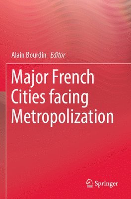 bokomslag Major French Cities facing Metropolization