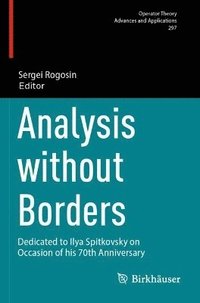 bokomslag Analysis without Borders