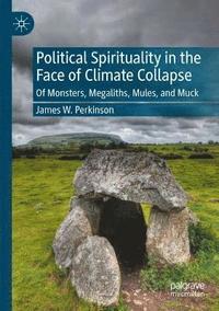 bokomslag Political Spirituality in the Face of Climate Collapse