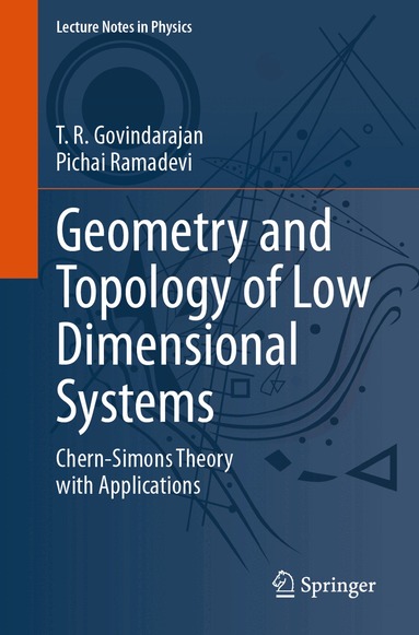 T. R. Govindarajan, Pichai Ramadevi - Geometry and Topology of Low Dimensional Systems, Häftad