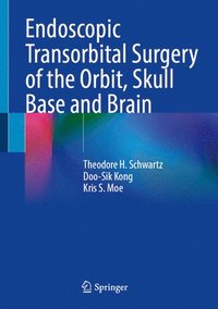 bokomslag Endoscopic Transorbital Surgery of the Orbit, Skull Base and Brain