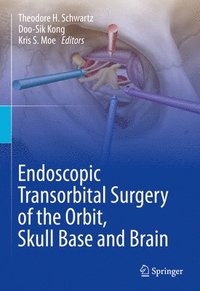 bokomslag Endoscopic Transorbital Surgery of the Orbit, Skull Base and Brain