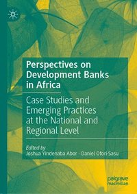 bokomslag Perspectives on Development Banks in Africa