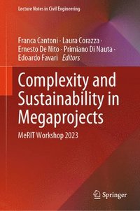 bokomslag Complexity and Sustainability in Megaprojects