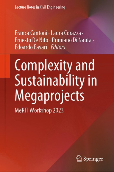 bokomslag Complexity and Sustainability in Megaprojects