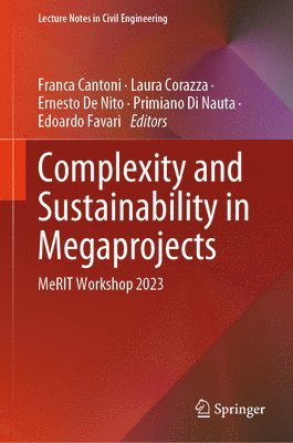 Complexity and Sustainability in Megaprojects