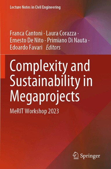 Franca Cantoni, Laura Corazza, Ernesto De Nito, Primiano Di Nauta, Edoardo Favari - Complexity and Sustainability in Megaprojects, Häftad