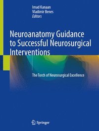 bokomslag Neuroanatomy Guidance to Successful Neurosurgical Interventions