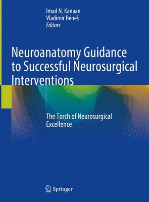 Neuroanatomy Guidance to Successful Neurosurgical Interventions 1