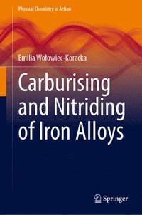 bokomslag Carburising and Nitriding of Iron Alloys