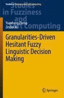 bokomslag Granularities-Driven Hesitant Fuzzy Linguistic Decision Making