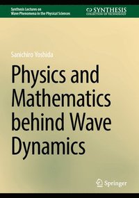 bokomslag Physics and Mathematics behind Wave Dynamics