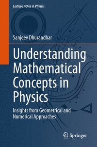 bokomslag Understanding Mathematical Concepts in Physics