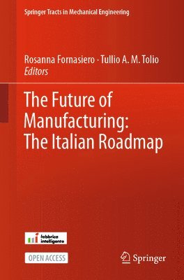 The Future of Manufacturing: The Italian Roadmap 1