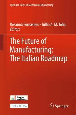 Rosanna Fornasiero, Tullio A. M. Tolio - Future of Manufacturing: The Italian Roadmap, Häftad