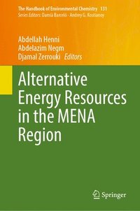 bokomslag Alternative Energy Resources in the MENA Region
