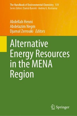 bokomslag Alternative Energy Resources in the MENA Region