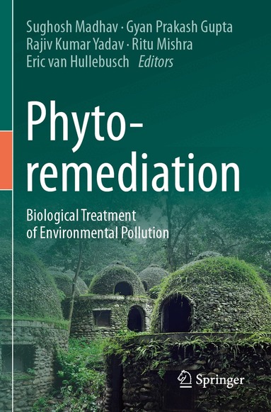 Sughosh Madhav, Gyan Prakash Gupta, Rajiv Kumar Yadav, Ritu Mishra, Eric van Hullebusch - Phytoremediation, Häftad