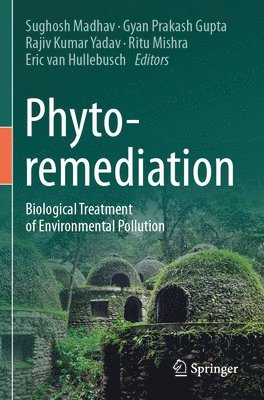 Phytoremediation
