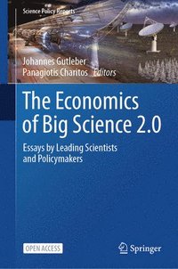 bokomslag The Economics of Big Science 2.0