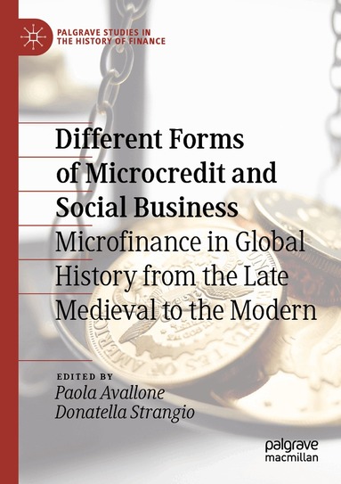 Paola Avallone, Donatella Strangio - Different Forms of Microcredit and Social Business, Häftad