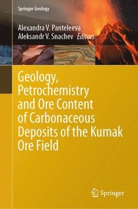 bokomslag Geology, Petrochemistry and Ore Content of Carbonaceous Deposits of the Kumak Ore Field