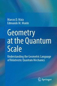 bokomslag Geometry at the Quantum Scale