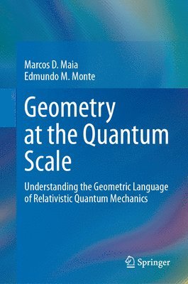 Marcos D. Maia, Edmundo M. Monte - Geometry at the Quantum Scale, Inbunden