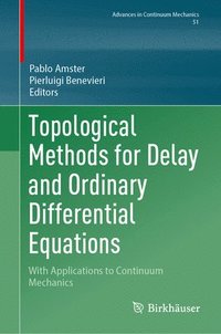 bokomslag Topological Methods for Delay and Ordinary Differential Equations