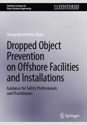 bokomslag Dropped Object Prevention on Offshore Facilities and Installations