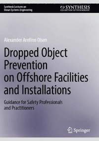 bokomslag Dropped Object Prevention on Offshore Facilities and Installations