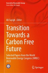 bokomslag Transition Towards a Carbon Free Future