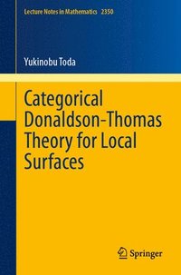 bokomslag Categorical Donaldson-Thomas Theory for Local Surfaces