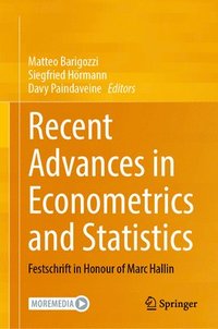 bokomslag Recent Advances in Econometrics and Statistics