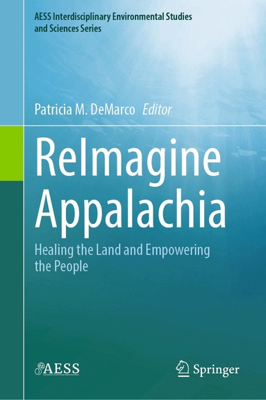 Patricia M. DeMarco - ReImagine Appalachia, Inbunden