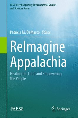 bokomslag ReImagine Appalachia