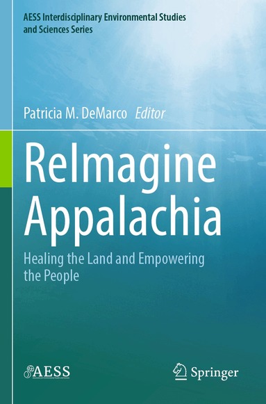 Patricia M. DeMarco - ReImagine Appalachia, Häftad