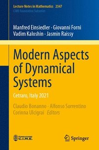 bokomslag Modern Aspects of Dynamical Systems