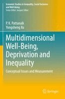 P. K. Pattanaik, Yongsheng Xu - Multidimensional Well-Being, Deprivation and Inequality, Häftad