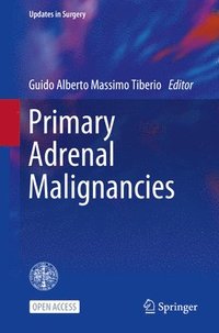 bokomslag Primary Adrenal Malignancies