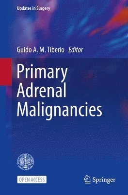 bokomslag Primary Adrenal Malignancies